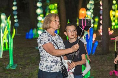 自貢彩燈產業升級 點亮百億級全產業鏈發展新路