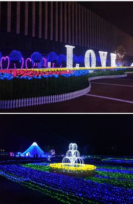 點亮夢幻世界 動植物花燈光節(jié)的魅力與彩燈制造的藝術