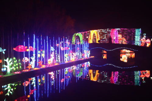 光影盛宴，奇幻啟航 揭秘武漢歡樂谷5000萬盞花燈背后的匠心制造