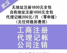 漢口專業財稅服務 財務代理、內賬外賬管理、一般納稅人申請、清理舊賬與代辦貸款申報一站式解決方案